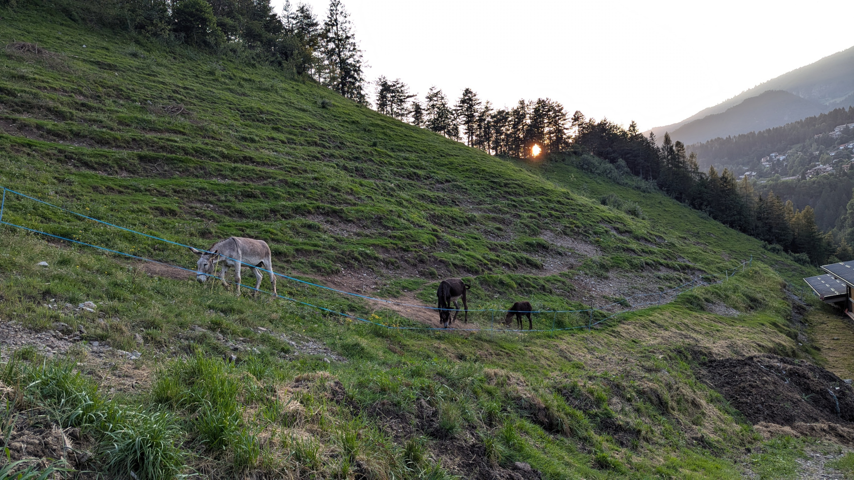 EdenCamp bubble glamping animali fattoria