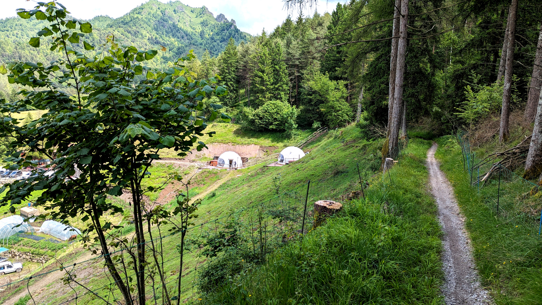 EdenCamp bubble glamping sentiero nel bosco